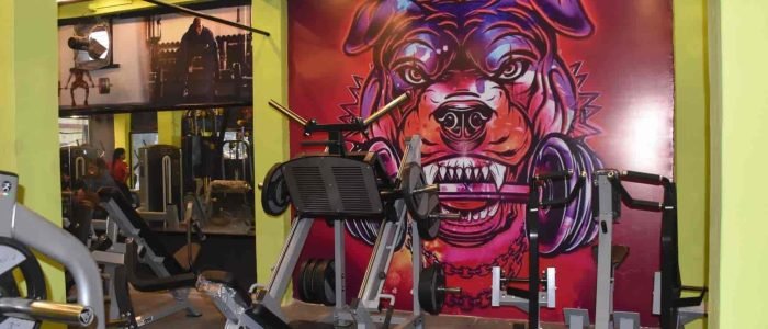 the best gym in begusarai